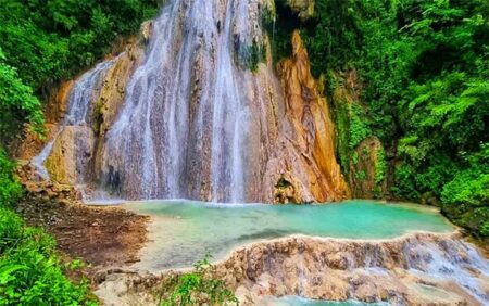جنگل لفور کجاست؟