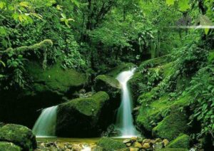 منطقه گردشگری شاهرود