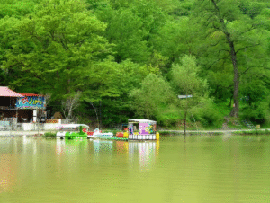 سوادکوه کجاست