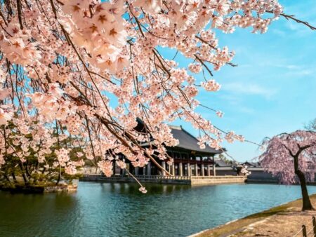 جاهای دیدنی سئول