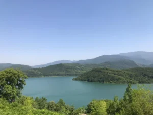 نمایی از یک اقامتگاه بوم‌گردی چوبی در دل جنگل‌های سرسبز شمال ایران با مه صبحگاهی خبر سفر