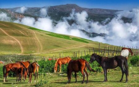 سوباتان و نقش آن در گردشگری طبیعی گیلان