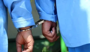 دستگیری حفاران غیرمجاز میراث فرهنگی در نرماشیر کرمان