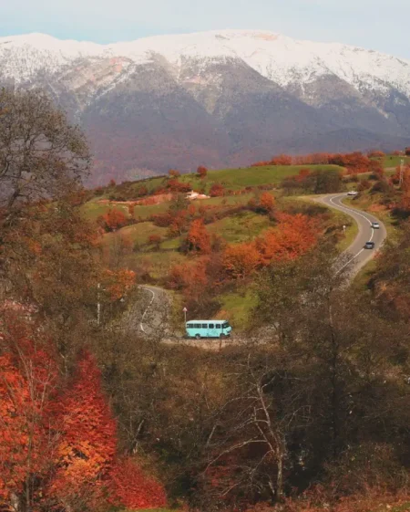 سفر به شیرگاه