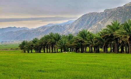 سرزمین نخل و نگاره‌های سیستان و بلوچستان