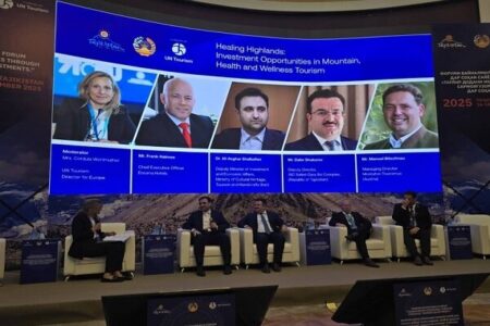 ایران آماده جذب سرمایه خارجی در حوزه گردشگری تندرستی است