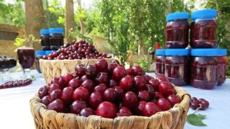 برگزاری ششمین جشنواره ملی آلبالو در شهر زنگنه ملایر
