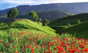 دشت ارژن کجاست؟