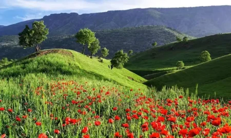 دشت ارژن کجاست؟