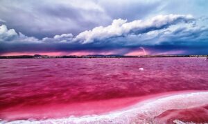 جاذبه‌های دیدنی دریاچه مهارلو شیراز