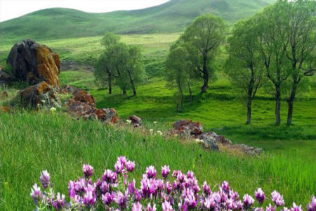 سراب ظرفیت تبدیل شدن به قطب گردشگری آذربایجان‌ شرقی را دارد