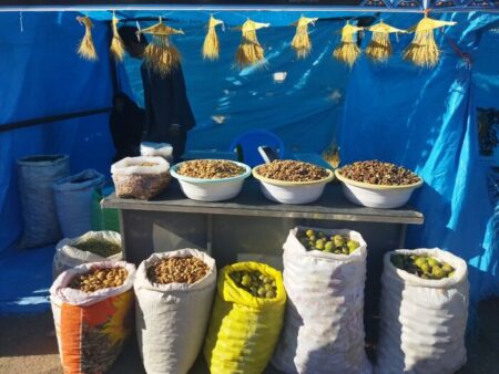جشنواره «پیاز و گردو» در کرمانشاه+خبرسفر
