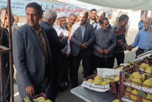 برگزاری جشنواره ملی میوه «به» سهروفیروزان