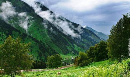 کاتون کاراگای آغوش طبیعت در قلب قزاقستان+خبرسفر