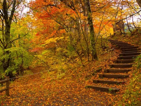 سرمایه گذاری 10 هزار میلیاردی تومانی برای اجرای پروژه اکوپارک سیاهکل