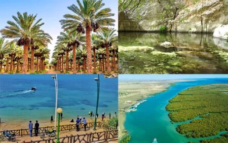 بهشت پنهان خلیج فارس؛ بوشهر در کانون توجه گردشگران داخلی و خارجی+خبرسفر