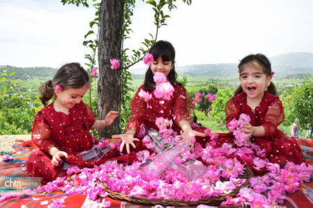ثبت جشنواره گلاب گیری بانه در تقویم ملی کشور