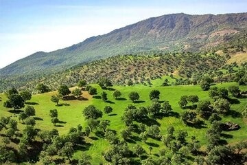 ثبت ملی رویداد سوگند بلوط