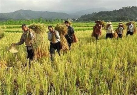 کشاورزی چهارمحال و بختیاری؛ از بحران آب و برق تا فرصت‌های سرمایه‌گذاری+خبرسفر