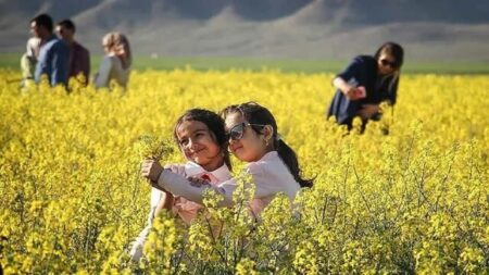 فارس در مسیر توسعه گردشگری تخصصی و تجربه محور کشاورزی