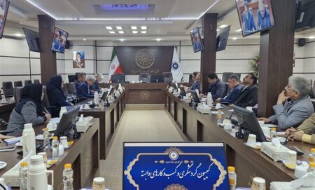 خراسان جنوبی ظرفیت تبدیل شدن به قطب تشخیص و درمان در گردشگری سلامت